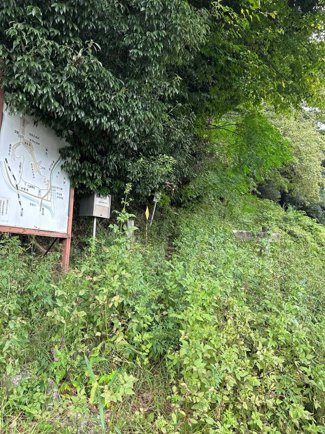 ん⁇🙄
ココが登山口？
少々草が伸びてますね🤫