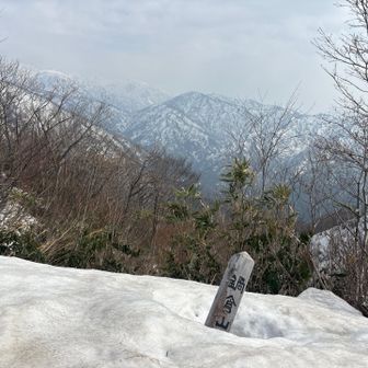 鍋倉山の標識あった！
朝は気づかなかったわ