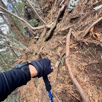 岩場じゃない急登って、意外に危険です！