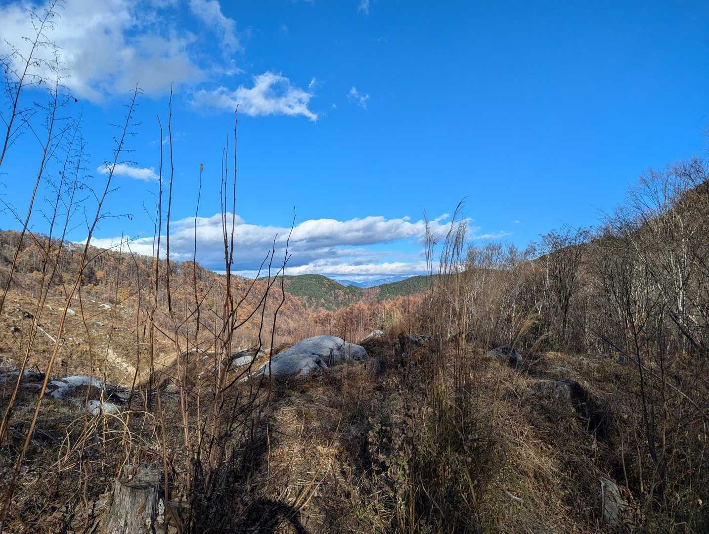 青木鉱泉バス停-地蔵岳 往復コースの写真