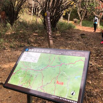 風吹岩から雨ケ峠この辺の道のりは何気に疲れた。
お昼で休憩です