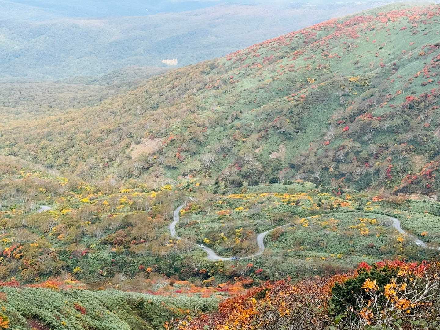 秋田駒ケ岳八合目登山口 往復コースの写真