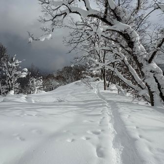 隙間時間の為、帰らねばー