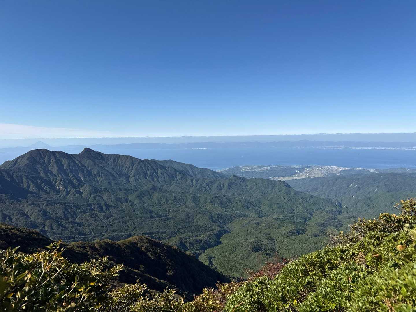 垂桜コース登山口-大箆柄岳 往復コースの写真