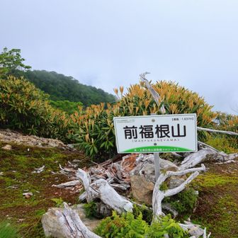折角何でちょっとだけ粘ります😆