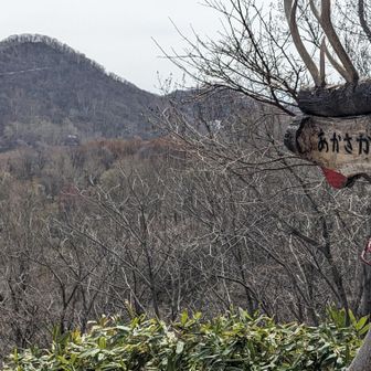 赤坂山から三角山を眺める。