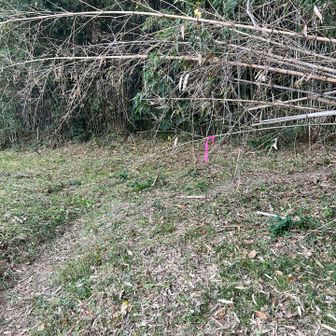 ピンクテープを右に進みます