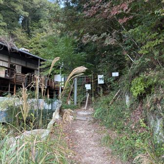クマ対策のゲートがあります！！