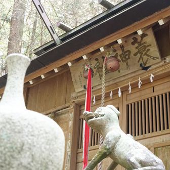 ⛩️
狛犬ががりがりだった