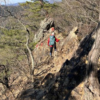 岩を避けるように進むと、前方に、