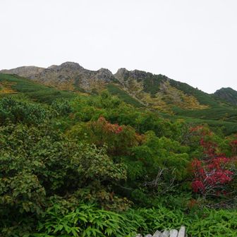 山頂方面
