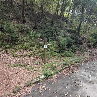 ここから山登り〜