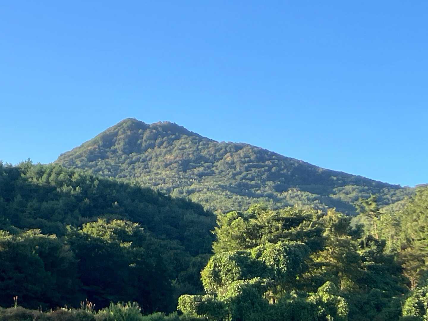 久慈平岳 往復コースの写真