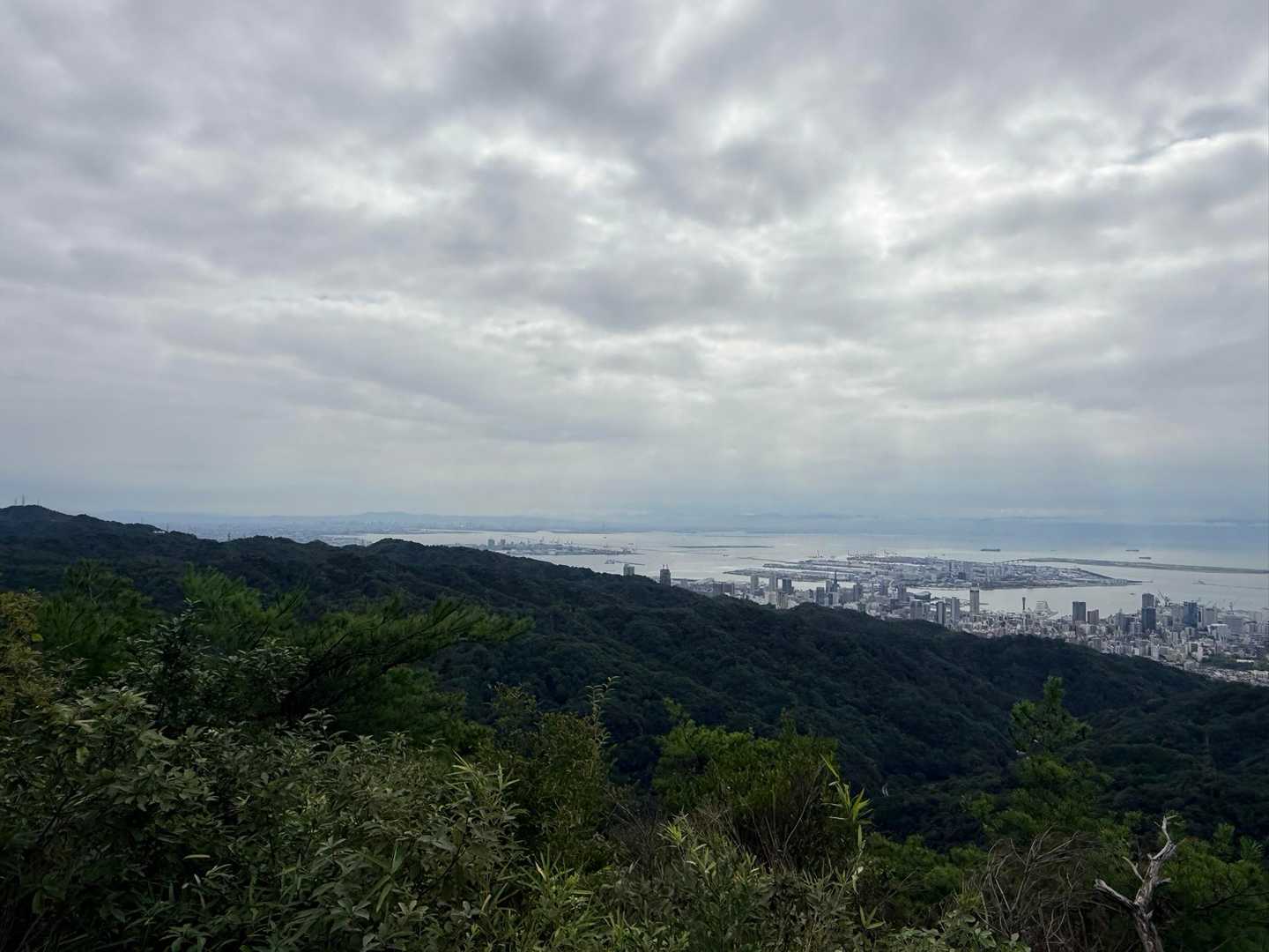 この展望台初めてきたけど
めっちゃいい