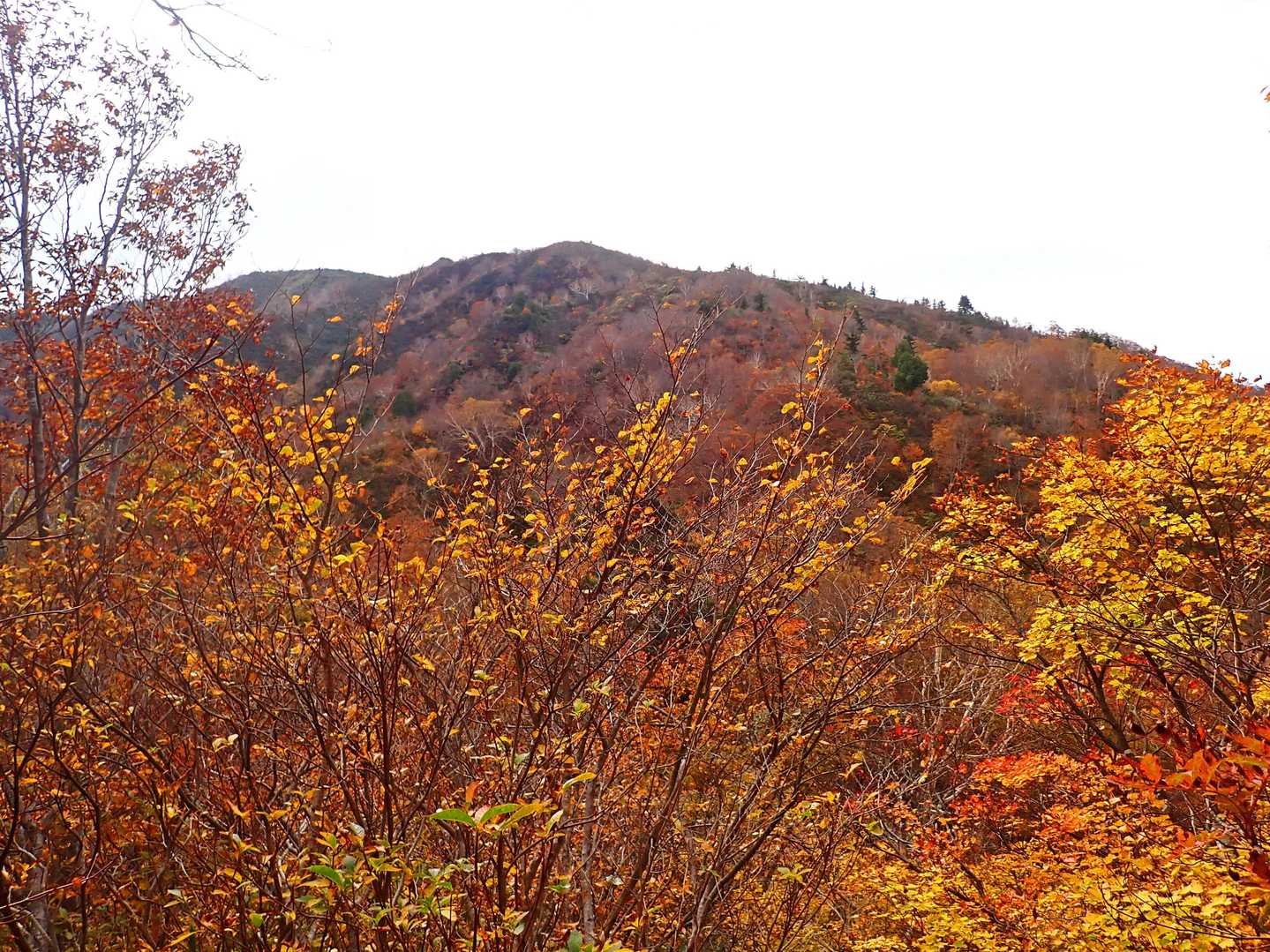 鉢伏山を振り返って