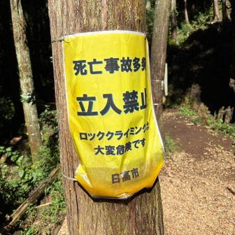 立入禁止と書かれていますが、黙認されているような雰囲気でした