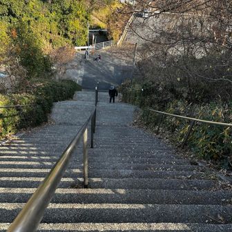 激登り階段、ここでは既に両脚とも終わっています😭