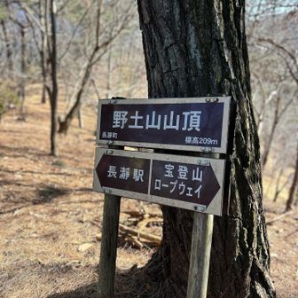 気を取り直して