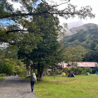 向かい側から来る人の数えぐい。
