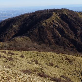 丹沢山