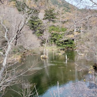 明神池の外れ