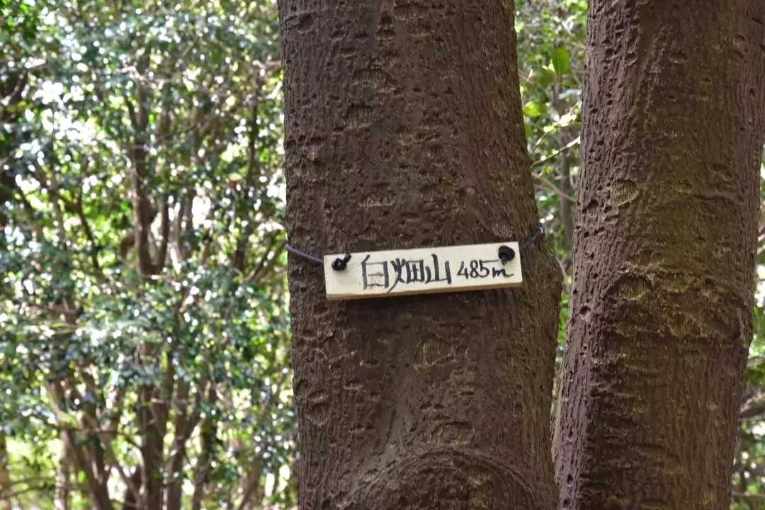 白畑山の写真