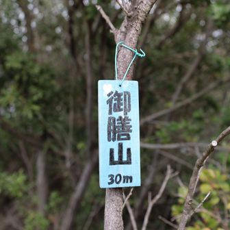 ラストの山名板