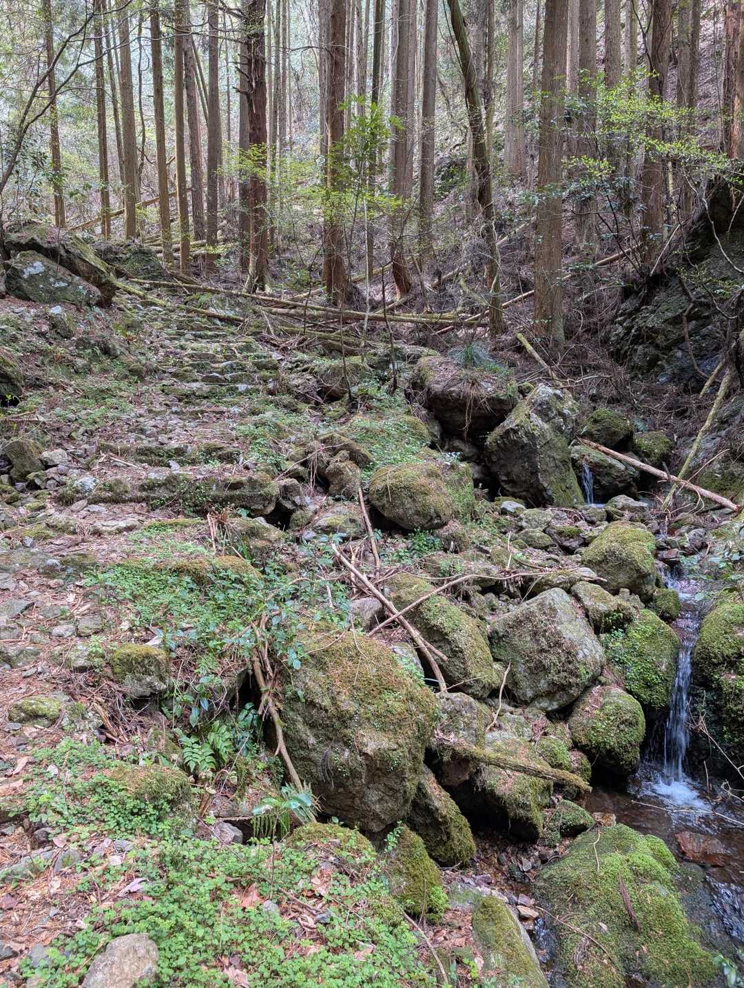 沢に沿って雰囲気のある道が続く
