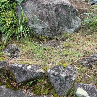 安倍晴明の石　民間の庭ポツンとありました