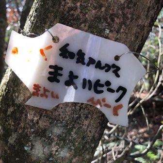 まよいピーク。
略して　マヨピー　😆