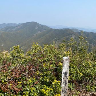 山頂奥には黒井城を望めるみたいだ😳
明智光秀はここから黒井城の様子を伺っていたのだろうか…。