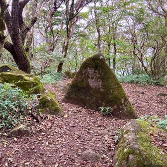 坊主山に寄り道