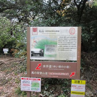 公園から瞑想の小道へ
↑よく見たら、通行規制の案内が貼ってありますね。😥
山頂手前で通行止めに気付く自分💦