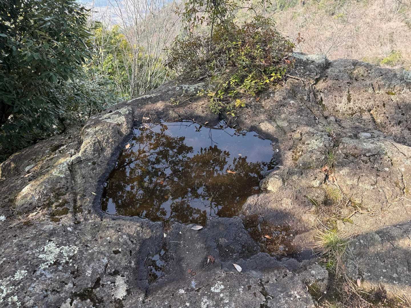 十畳岩コース登山口-549ピーク-小田山-小田山正面口 縦走コースの写真