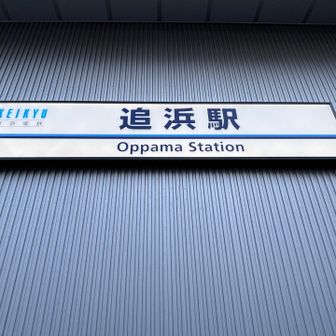 下山して追浜駅到着。
元日山行、お疲れ🏔️でした。