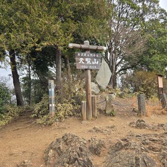 天覧山山頂に到着です。
展望は望めず、小休止して多峯主山に向かいました。