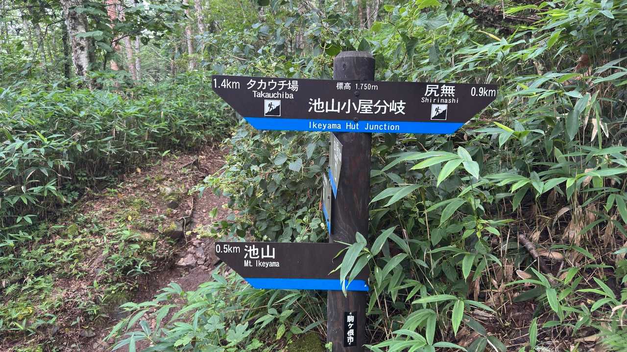 池山小屋分岐