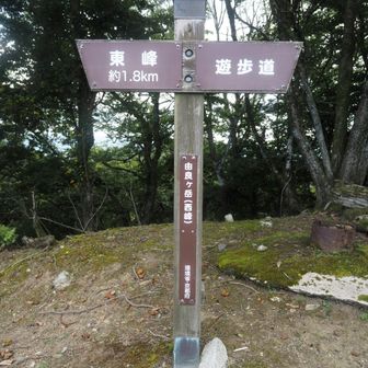 由良ケ岳西峰に到着
