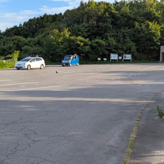 この時間は、ここまで車🚗³₃で来れない・・
出られるのは、21:30過頃？！