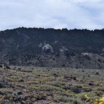 パンダ模様🐼😉