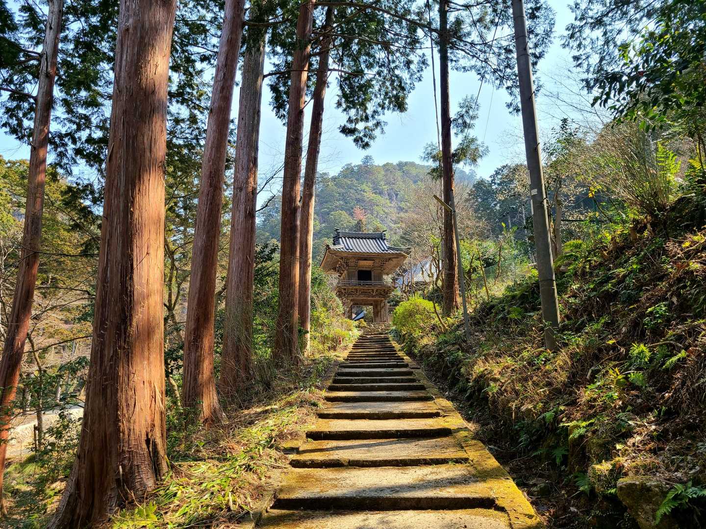 五台山-鷹取山-三和峠 周回コースの写真
