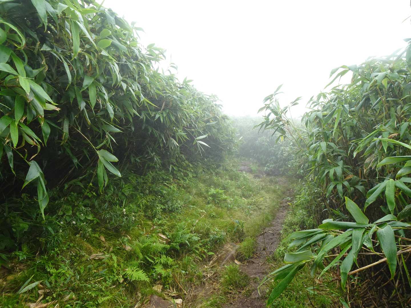 夜間に通り雨もあって道もドロドロ😭新千歳IN～OUTで3泊4日の旅、自身が若干強引に初日はニセコを泊地にしたのでした👍