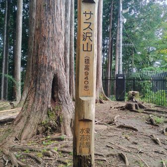 サス沢山に到着
標高940メートル
ここまで１時間ちょっとで上がってきた😵‍💫