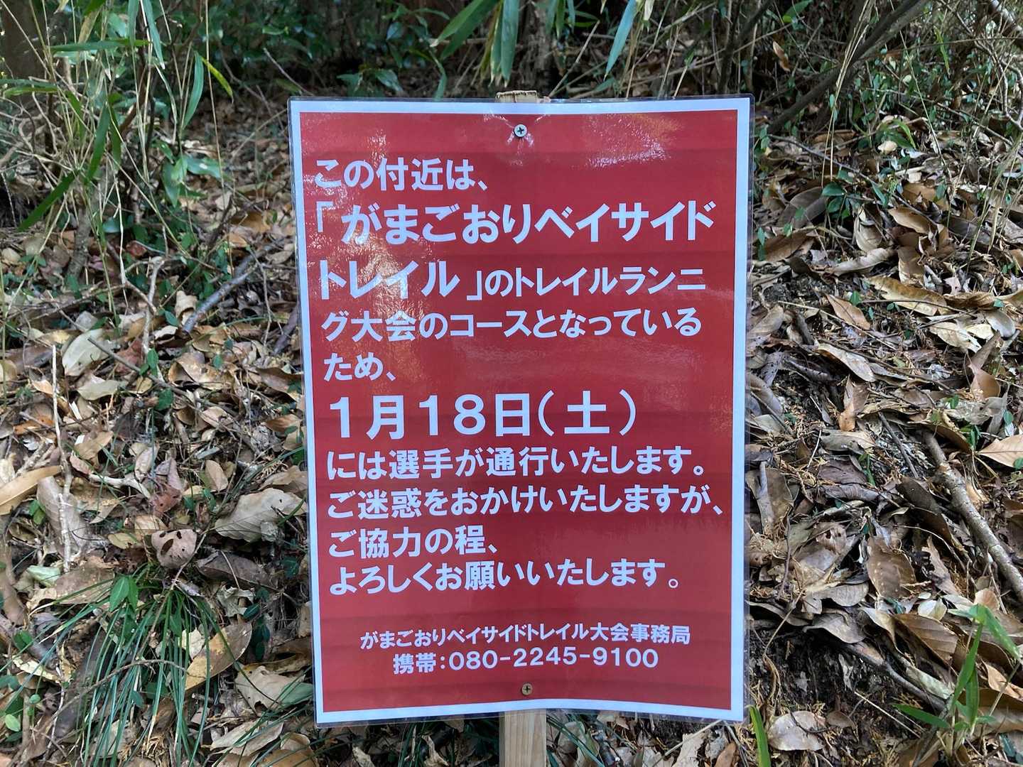 来週ですね