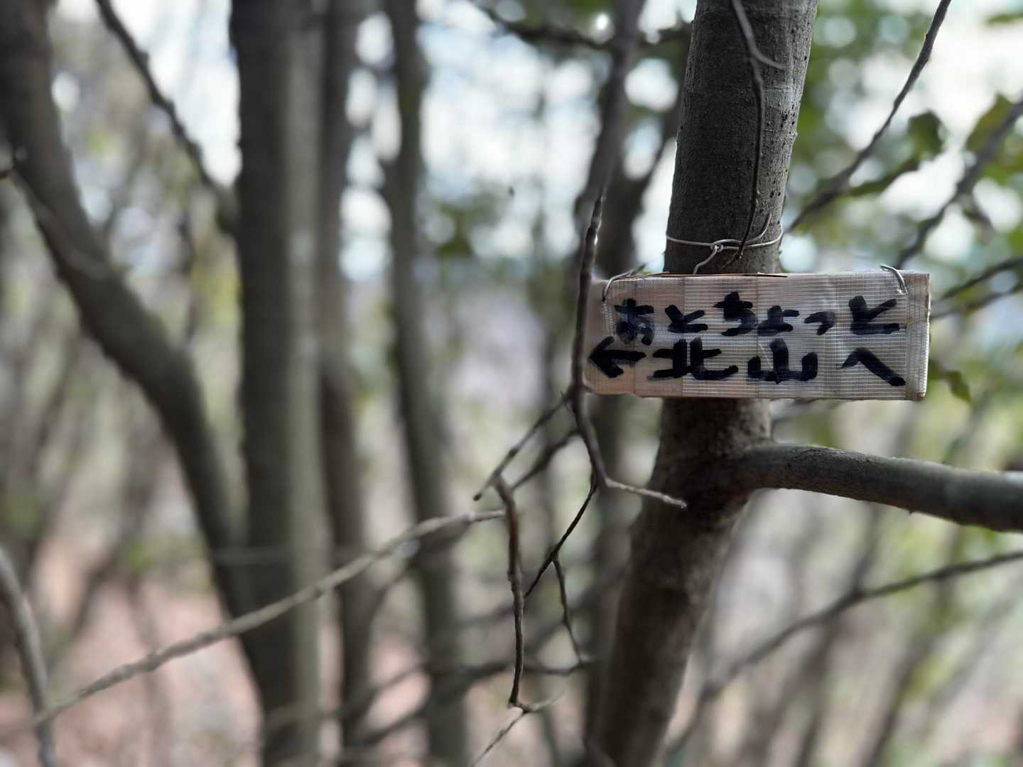 結構な登りでおしゃべりできずほぼ無言で😑