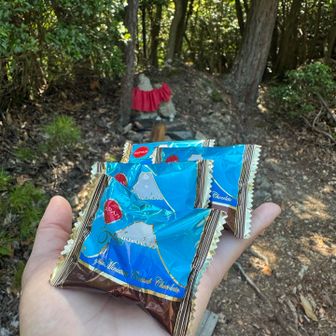 この夏、目標を達成したかわいい山ガールからお土産いただいた🗻父たちの分までありがとう😊
頑張るね💪