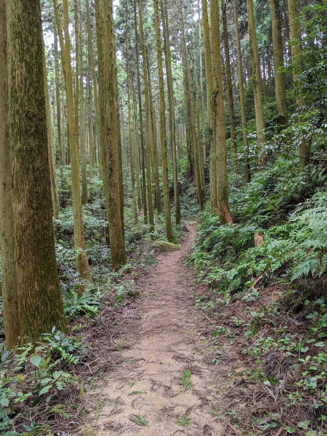 雨がちょっぴり降り出してきました。。