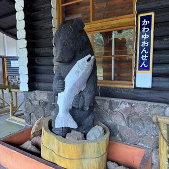 この熊の木彫り好きだ❤️
鮭を大切そうに抱えてていいな