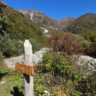 小池新道終わり
今回のお山も終わっちゃいます。寂しい😞
