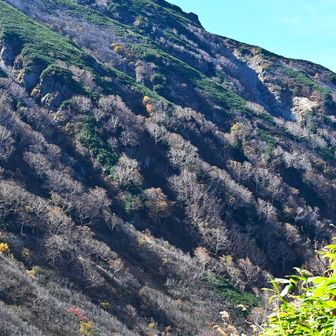 溶岩台地のゴツゴツ地形